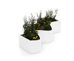 Curly planter by LAB23