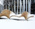 climbslide 8.9 playsculpture®  by moveart 2