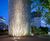 Allevard recessed marker light by LEC Lyon 10