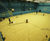 Maple flooring for professional-level basketball court 2