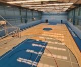 Maple flooring for professional-level basketball court - on this page