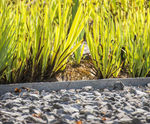 EKOedge plastic wood landscape edging
