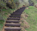 Recycled Plastic Lumber