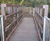 Recycled Plastic Decking 1