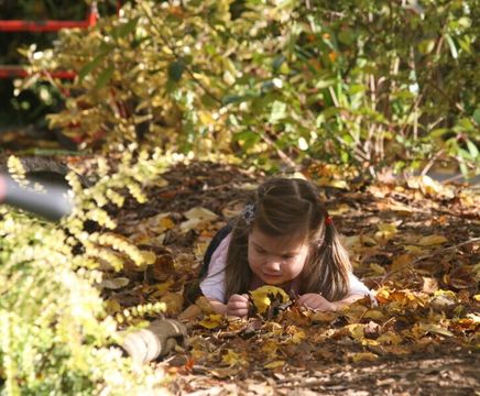 Forest schools - an open-ended resource