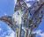 Tree and Bud sculptures - Christies Cancer Care Centre 3