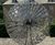 Allium stainless steel sculpture 1