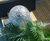 Allium stainless steel sculpture 8