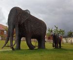 Elephant sculptures for Ebbsfleet