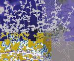 'Taming the Wild' perspex screens – Ulster Hospital