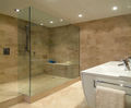 Glass design showers