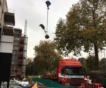 Complete tree installation service