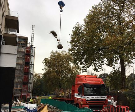 Complete tree installation service