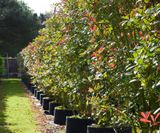 Instant hedging - on this page