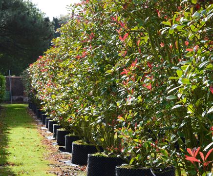 Instant hedging