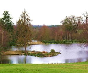 Lake design, construction, restoration and maintenance