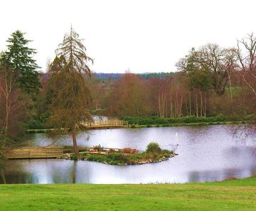 Lake design, construction, restoration and maintenance