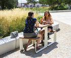 Rautster Picnic Table