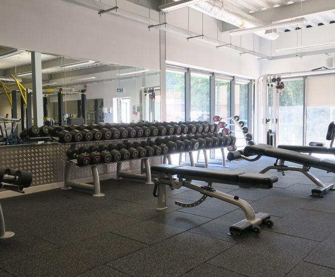 Tvs gym flooring deals