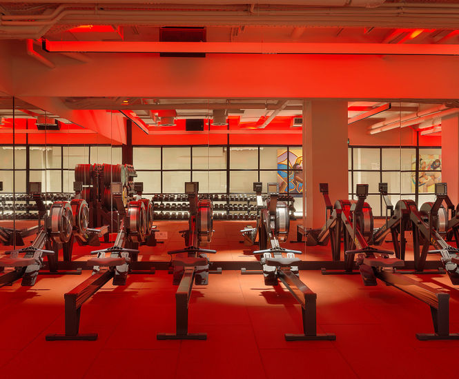 SPORTEC Purcolor impact and noise reducing flooring TVS Gym Flooring