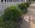 Natural-looking surfacing for manor house car park 2