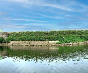 Reinforced vegetated wall system for Aire riverbank 