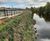Reinforced vegetated wall system for Aire riverbank  1