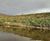 Reinforced vegetated wall system for Aire riverbank  5
