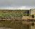 Reinforced vegetated wall system for Aire riverbank  4