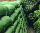 GeoGrow goes Green with Rootlok - on this page