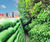 Rootlok - vegetated wall system for erosion control 6