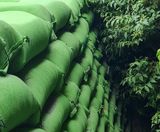 New webinar: Building Greener with Rootlok - on this page