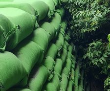 New webinar: Building Greener with Rootlok