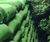 New webinar: Building Greener with Rootlok 0