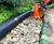 Vegetated wall for riverbank flood protection works 1