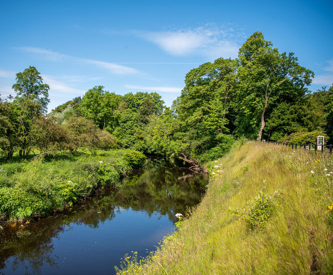 Vegetated wall system reinforces bank at Glasgow park