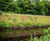 Vegetated wall system reinforces bank at Glasgow park 8