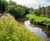 Vegetated wall system reinforces bank at Glasgow park 2