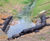 Rootlok Vegetated Headwalls 5