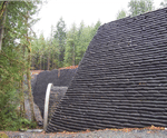 Vegetated wall system for 10m-high retaining bank
