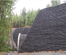 Vegetated wall system for 10m-high retaining bank