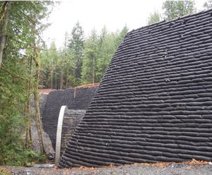 Vegetated wall system for 10m-high retaining bank