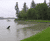 FlexMSE vegetated wall system prevents coastal erosion 2
