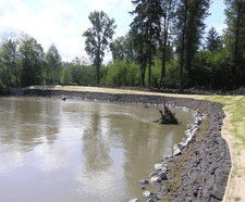 FlexMSE vegetated wall system prevents coastal erosion