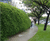 Flex MSE vegetated wall system reprofiles retail land 0