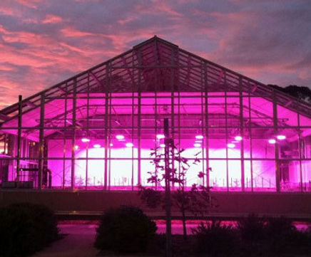 Exterior lighting design consultancy service