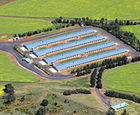 Bio-Oxygen in Chicken Processing - Odour & Sterilisation