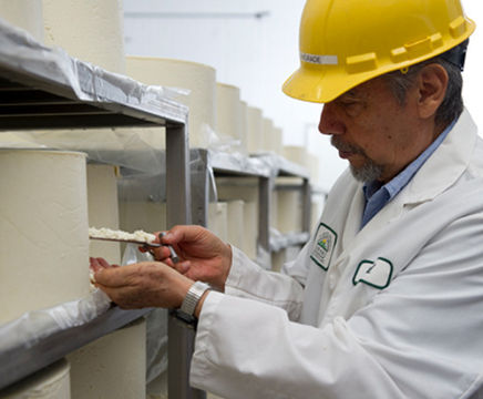 Bio-Oxygen mould reduction in food processing