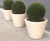 Whitecity Plant Pot - concrete outdoor planter for commercial spaces 3