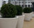 Whitecity Plant Pot - concrete outdoor planter for commercial spaces 1